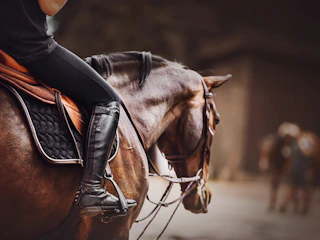 Imagen Entrada a La Hacienda Park en Punta Cana Cabalgata