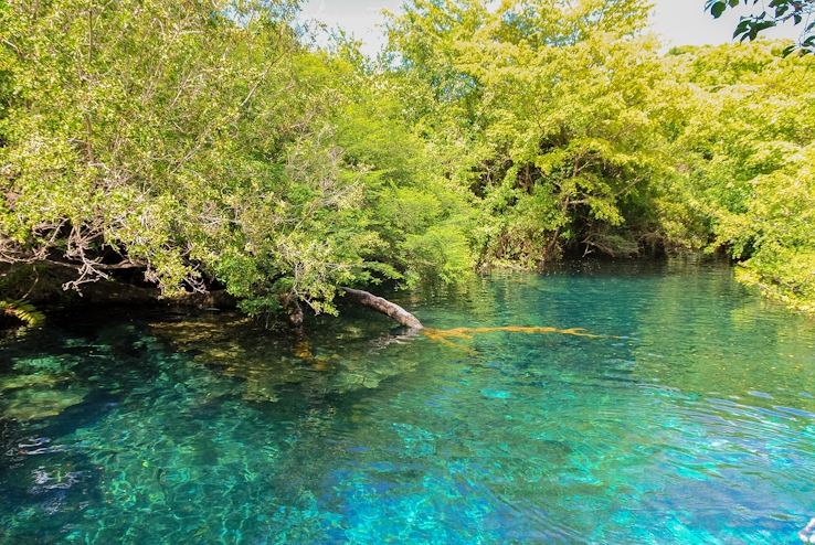 Reserva Ecológica Ojos Indígenas