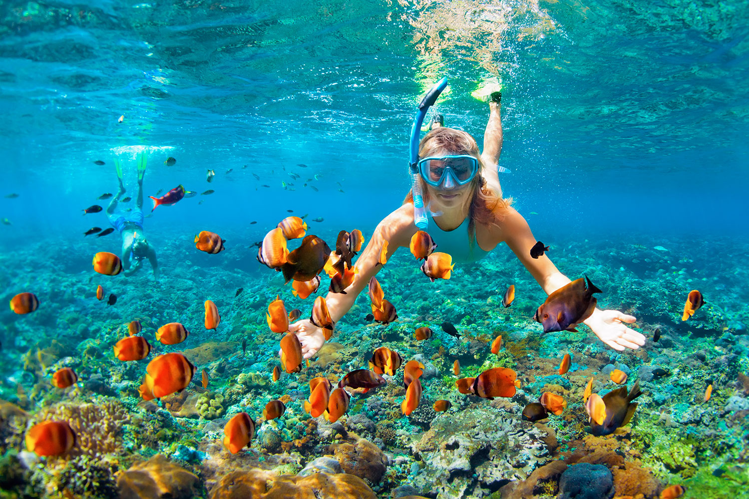 Mujer y peces en el mar