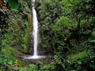 Imagen Reserva Natural Mindo en Quito Full Day Mindo