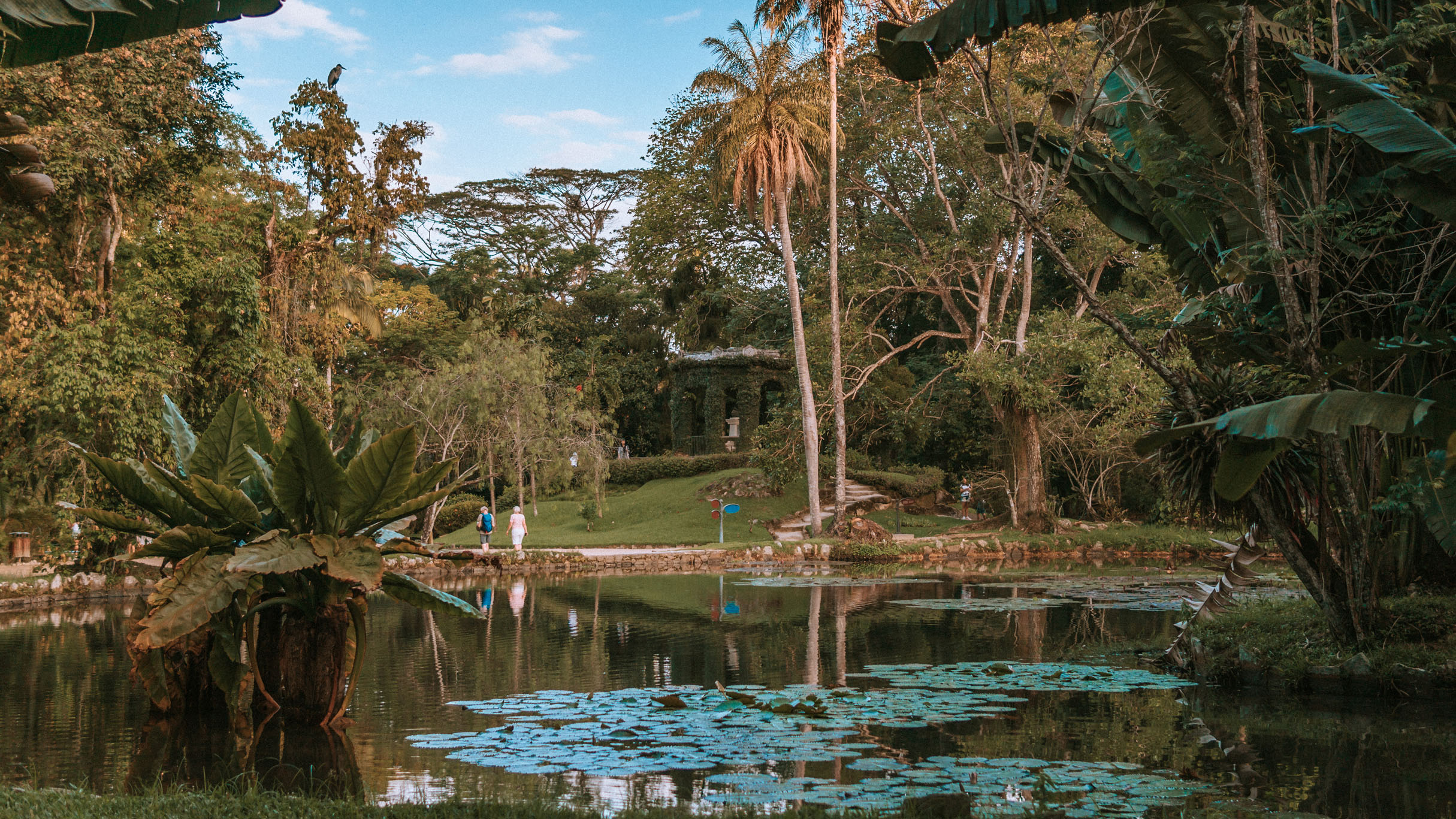 Parque Nacional Tijuca Rio de Janeiro