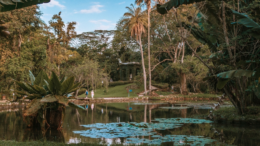 Parque Nacional Tijuca Rio de Janeiro