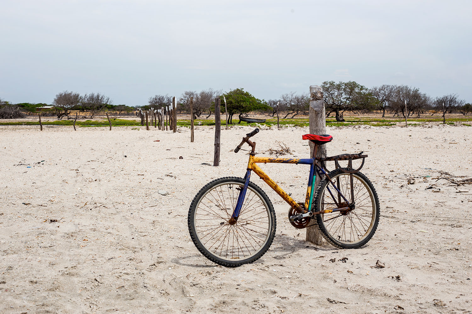 Bicicleta en la arena