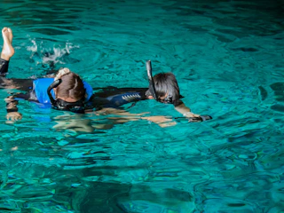 Imagen de niños nadando en Cenote en Riviera Maya Niños nadando en cenote