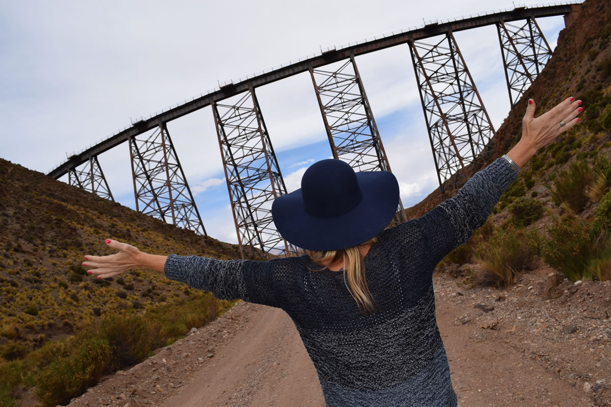 Persona frente a Viaducto