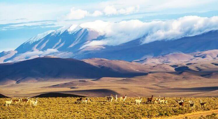 Camino Tren de las Nubes