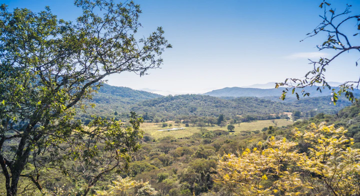 vista circuito despejado