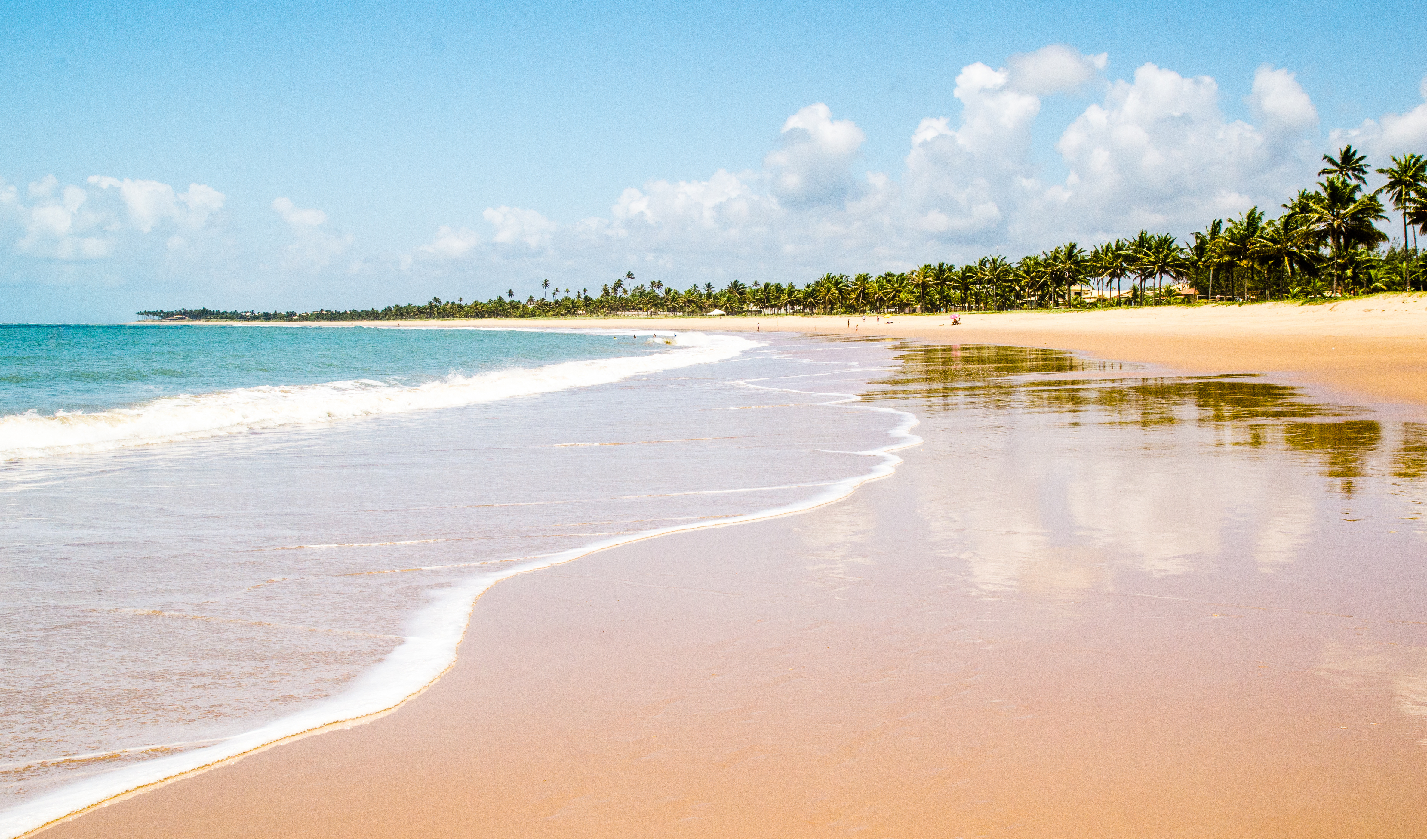 Praia do Forte y Guarajuba