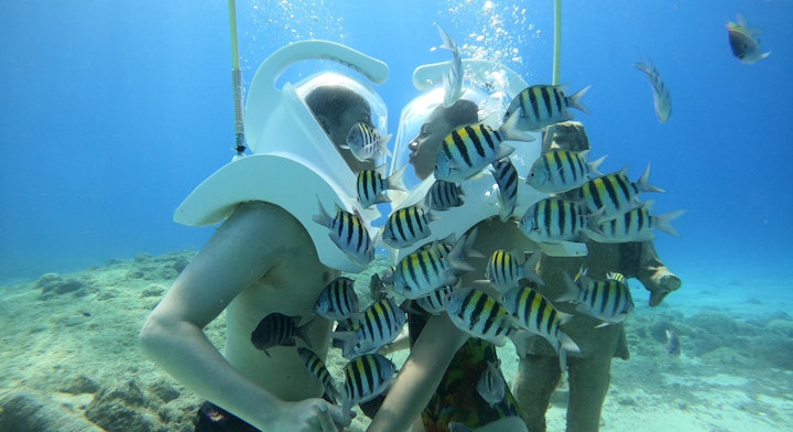 Peces en la Caminata Submarina