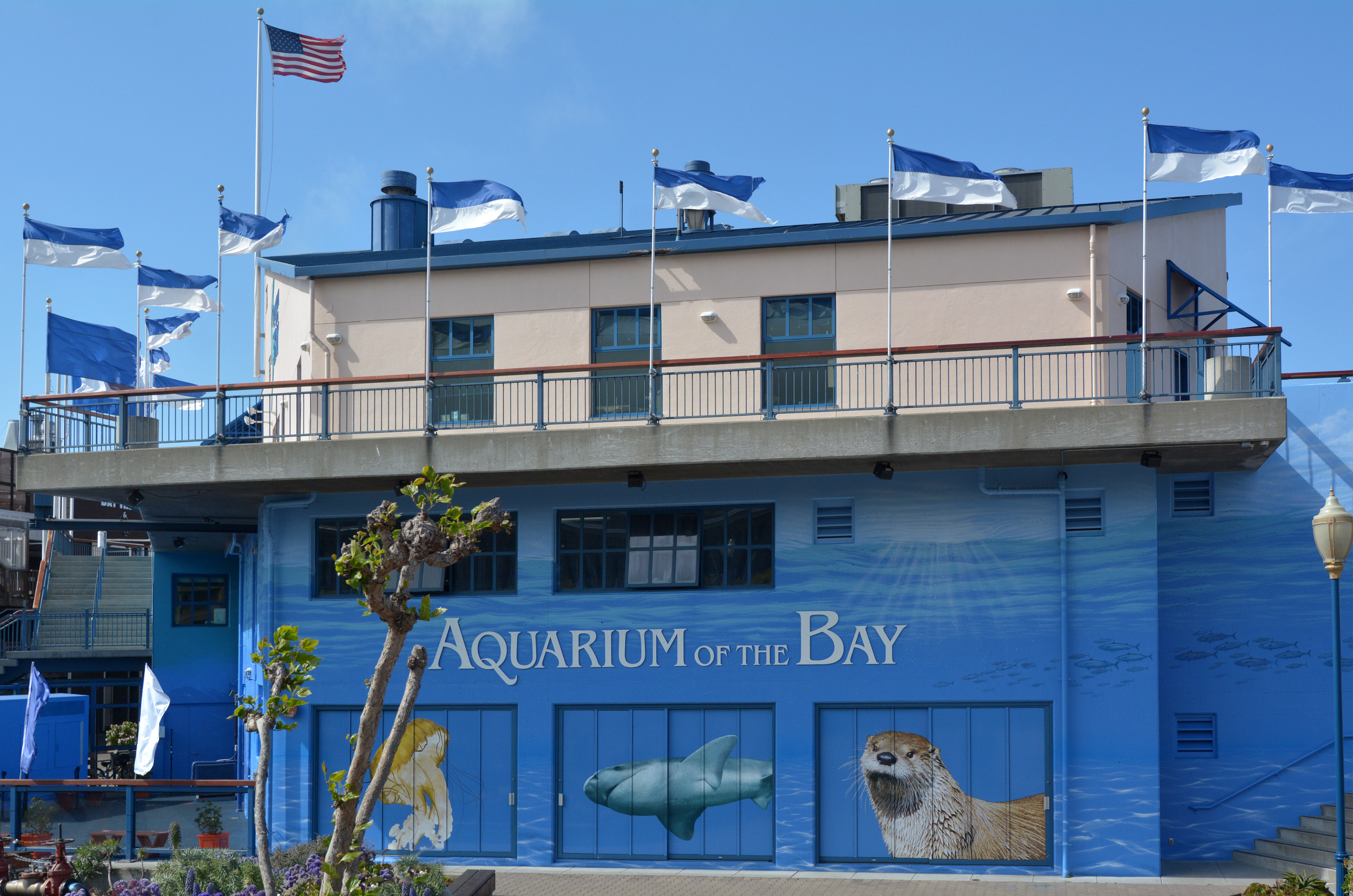 Aquarium of the Bay