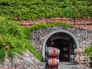 Imagen Excursión a Napa y Sonoma Valley en San Francisco Napa Valley