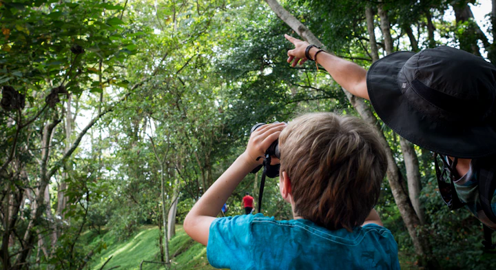Personas realizando avistamiento en reserva natural