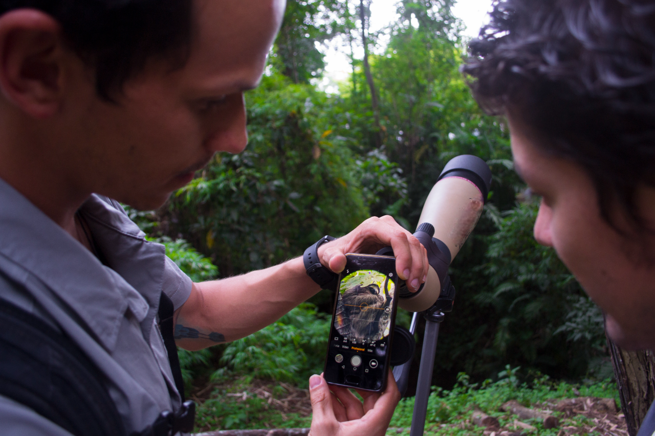 Turistas realizan avistamiento