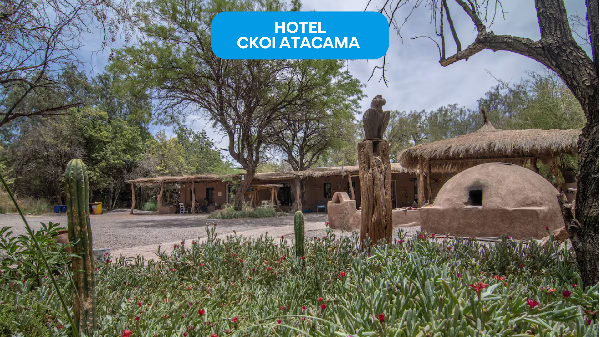 Jardín en Hotel Ckoi Atacama