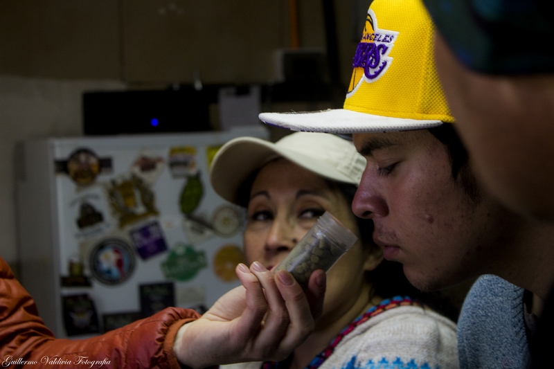 grupo con guía en el tour gastronómico en San Pedro de Atacama