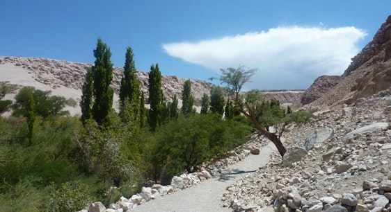 Valle de Jerez en Atacama