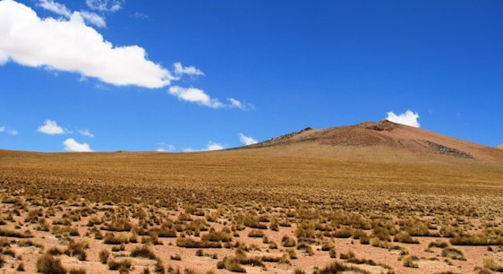 Traslado desde San Pedro de Atacama