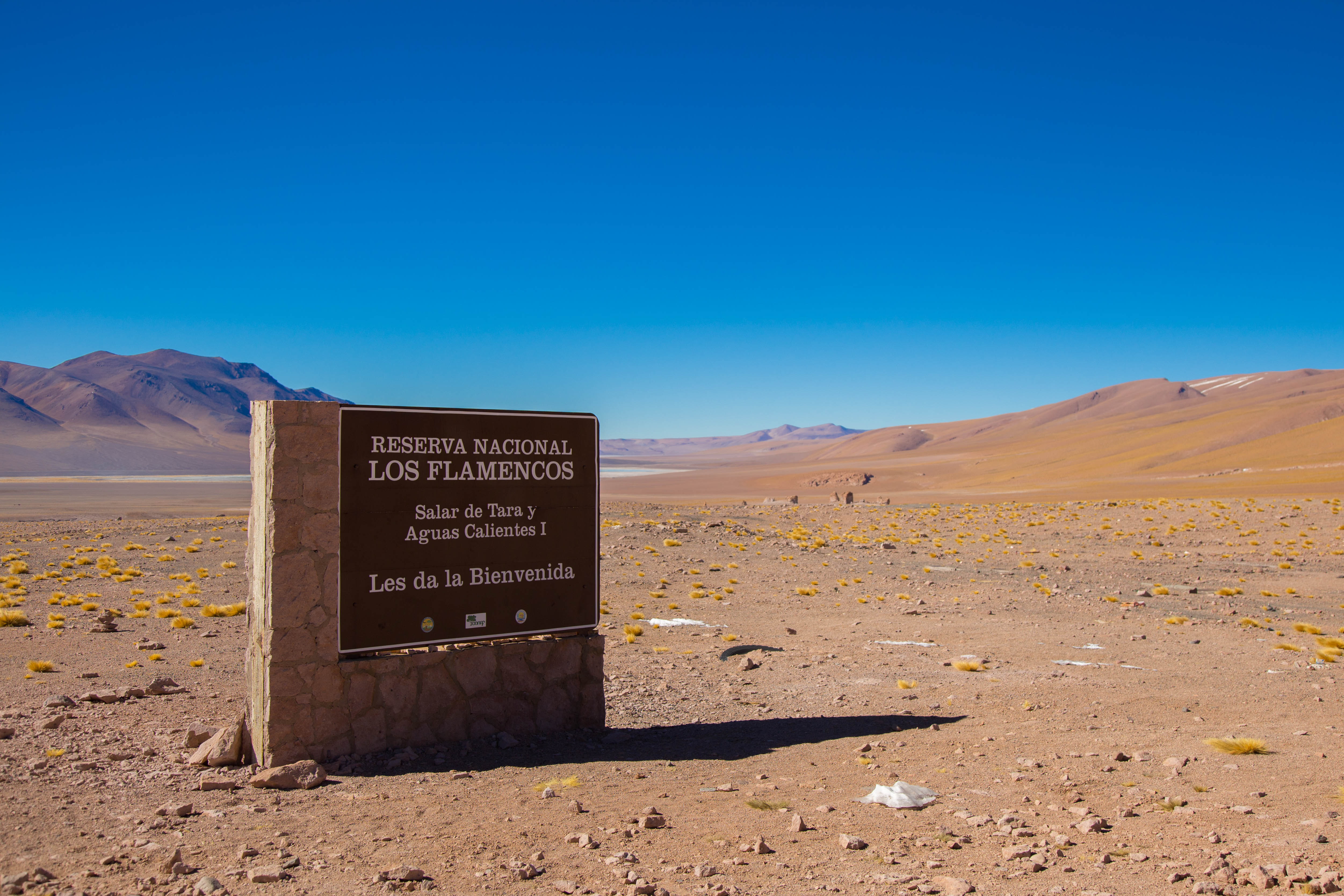 Reserva Nacional Los Flamencos