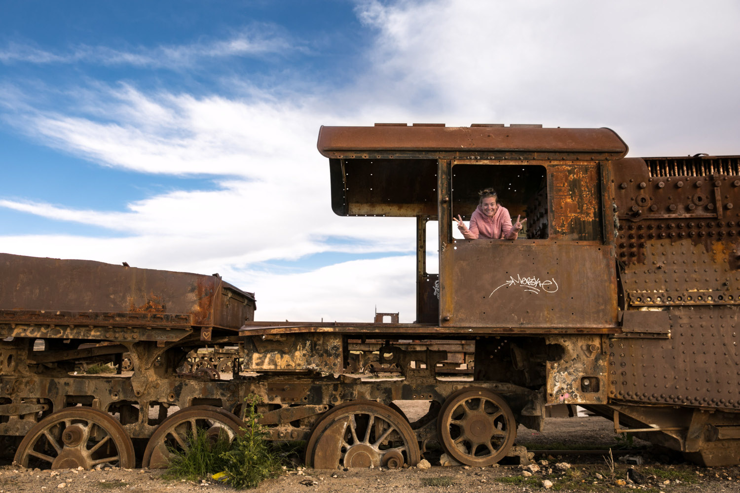 Cementerio de trenes