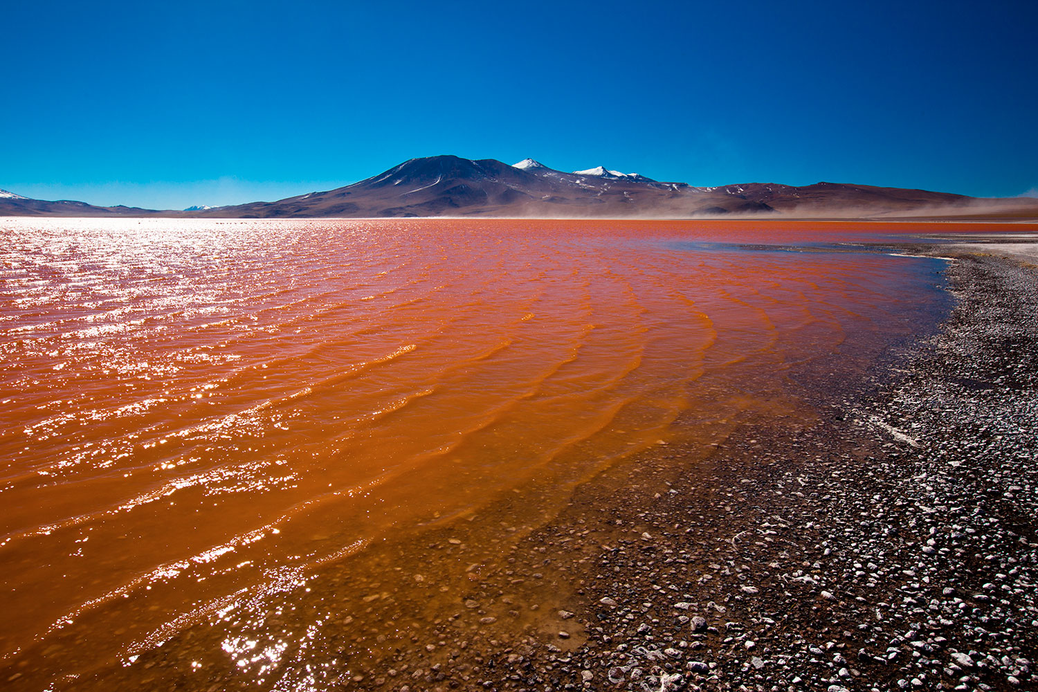 Laguna Colorada