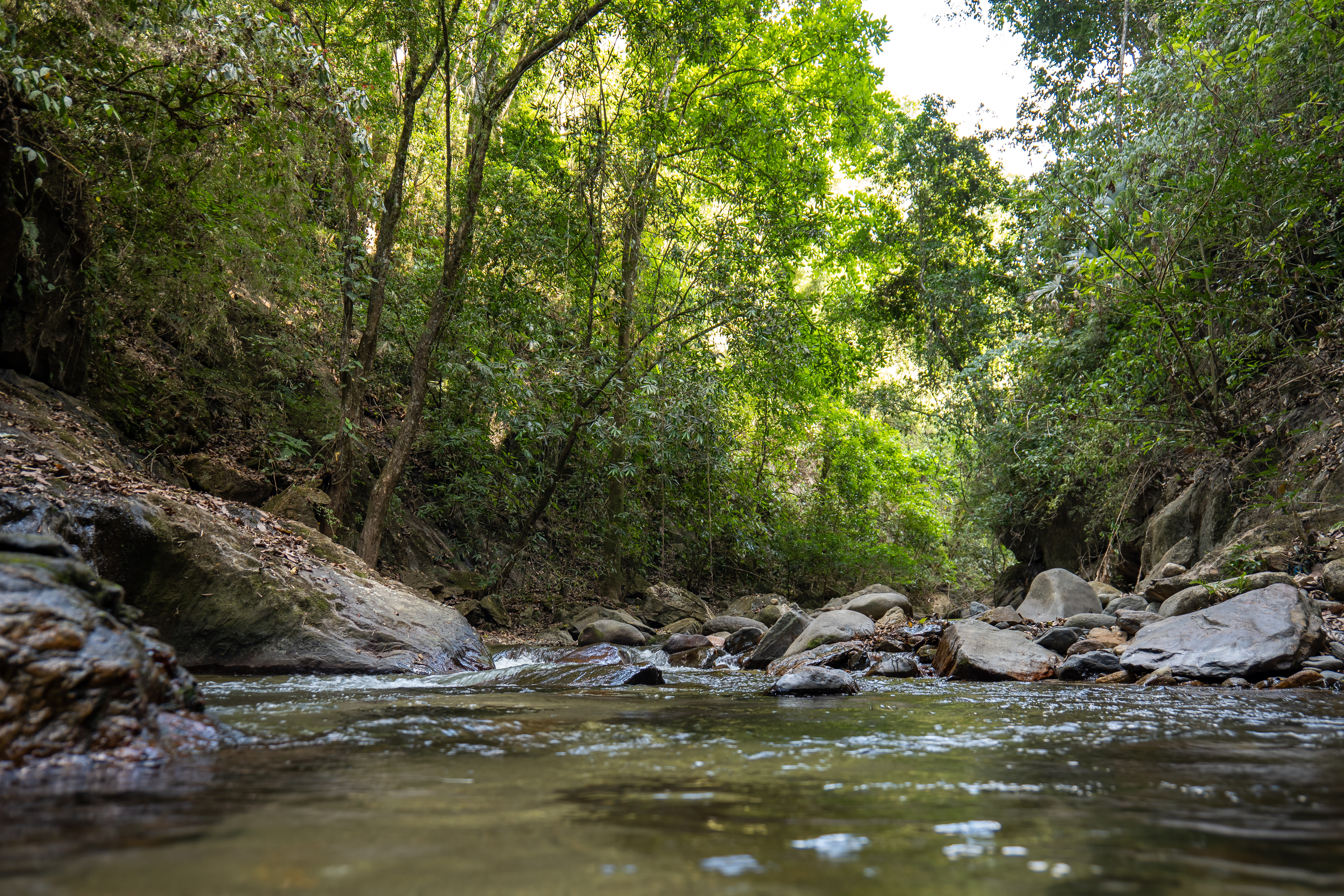 Naturaleza cerca del Pozo Azul
