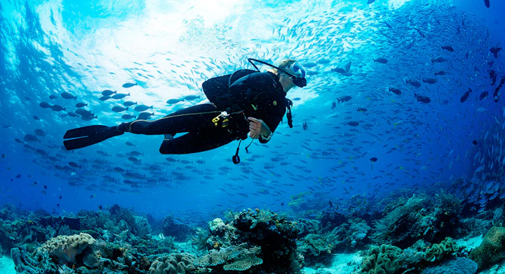 Imagen Bautismo de Buceo en Santa Marta
