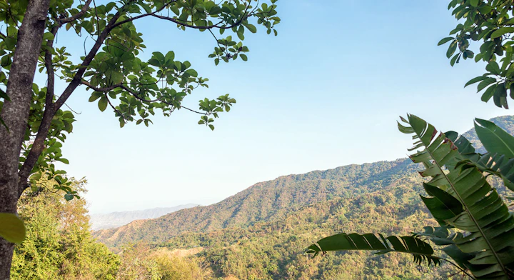 Imagen Full Day Tayronaka en Santa Marta