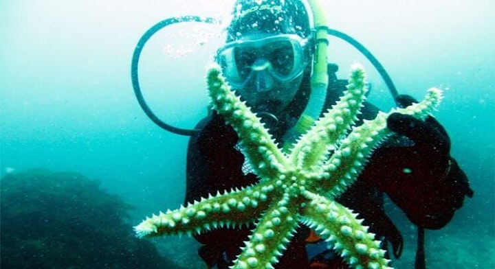 Buceo en Pichidangui