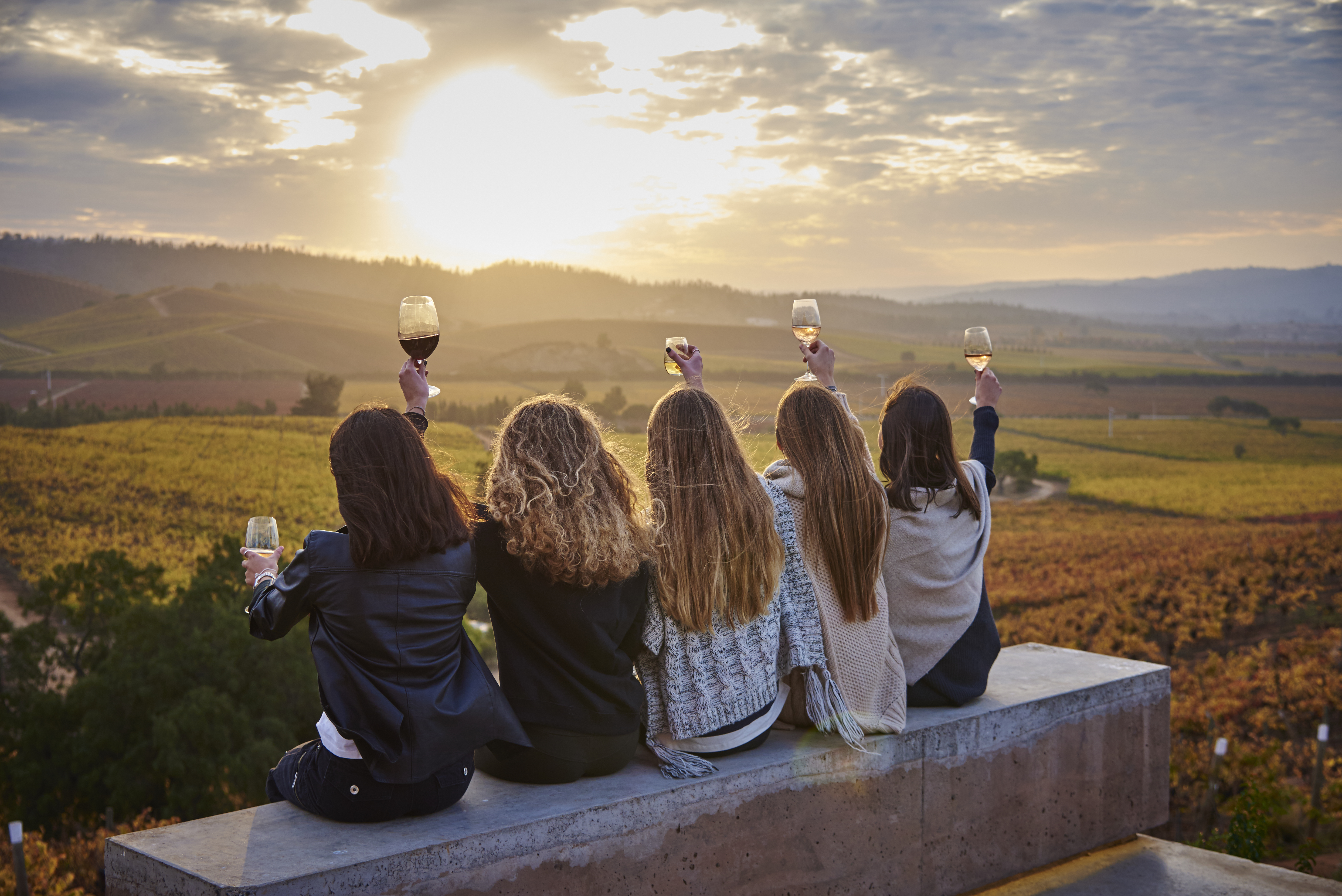 Turistas en Viña Casas del Bosque