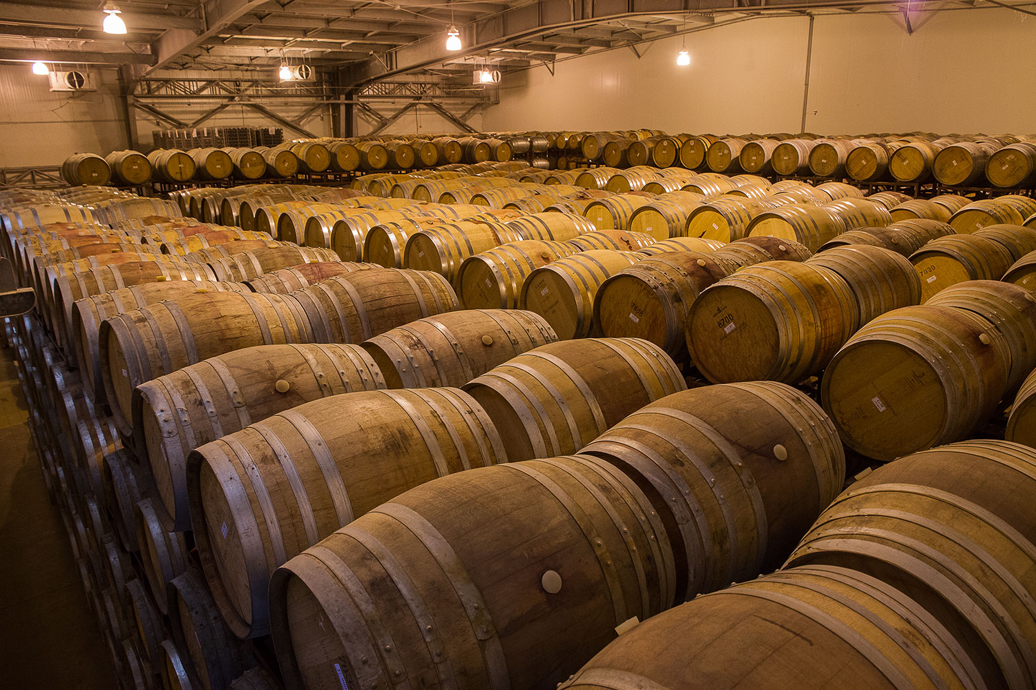 Barricas de viña Ventisquero