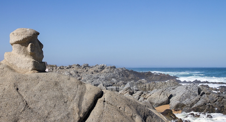 Isla Negra and Ventisquero Vineyard