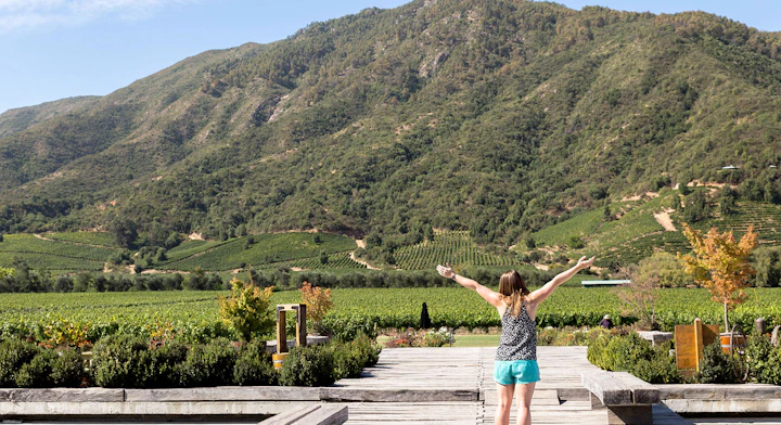 Ruta del Vino: Colchagua y Santa Cruz