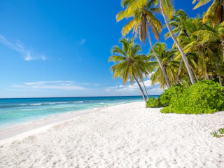 Imagen Excursión a Isla Saona en Santo Domingo Isla Saona playa