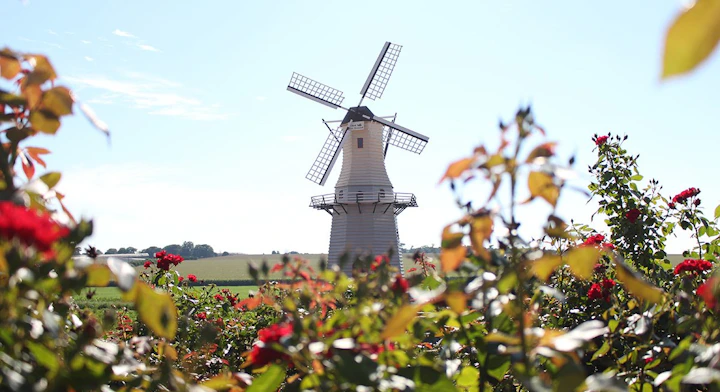 Imagen de molino y flores
