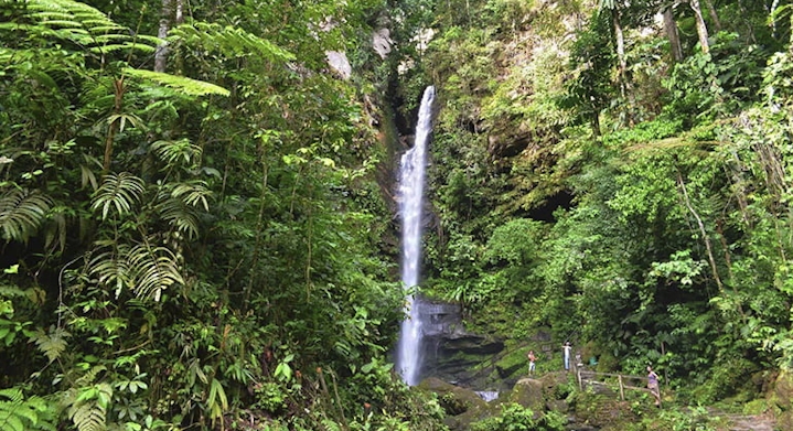 Ahuashiyacu Waterfall