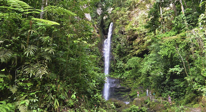 Catarata de Ahuashiyacu