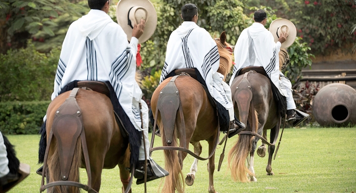 Show Marinera e Cavalo de Paso