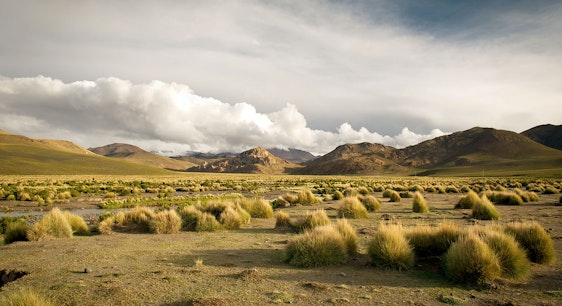 Altiplano Bolviano