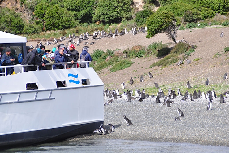 Personas frente Pingüinera