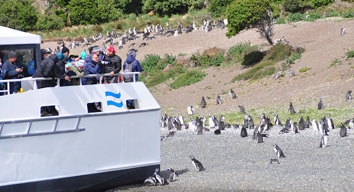 Personas frente Pingüinera