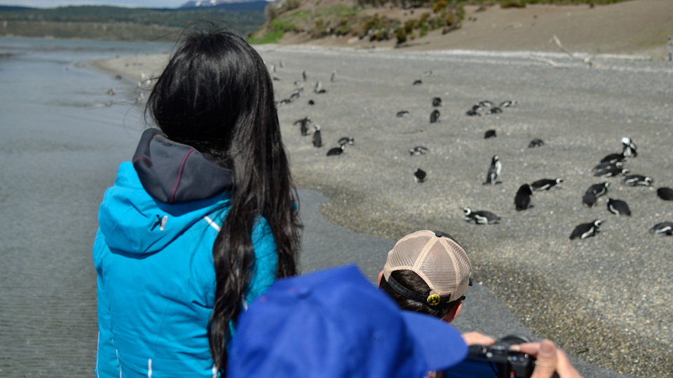 Pinguinera en Ushuaia Argentina