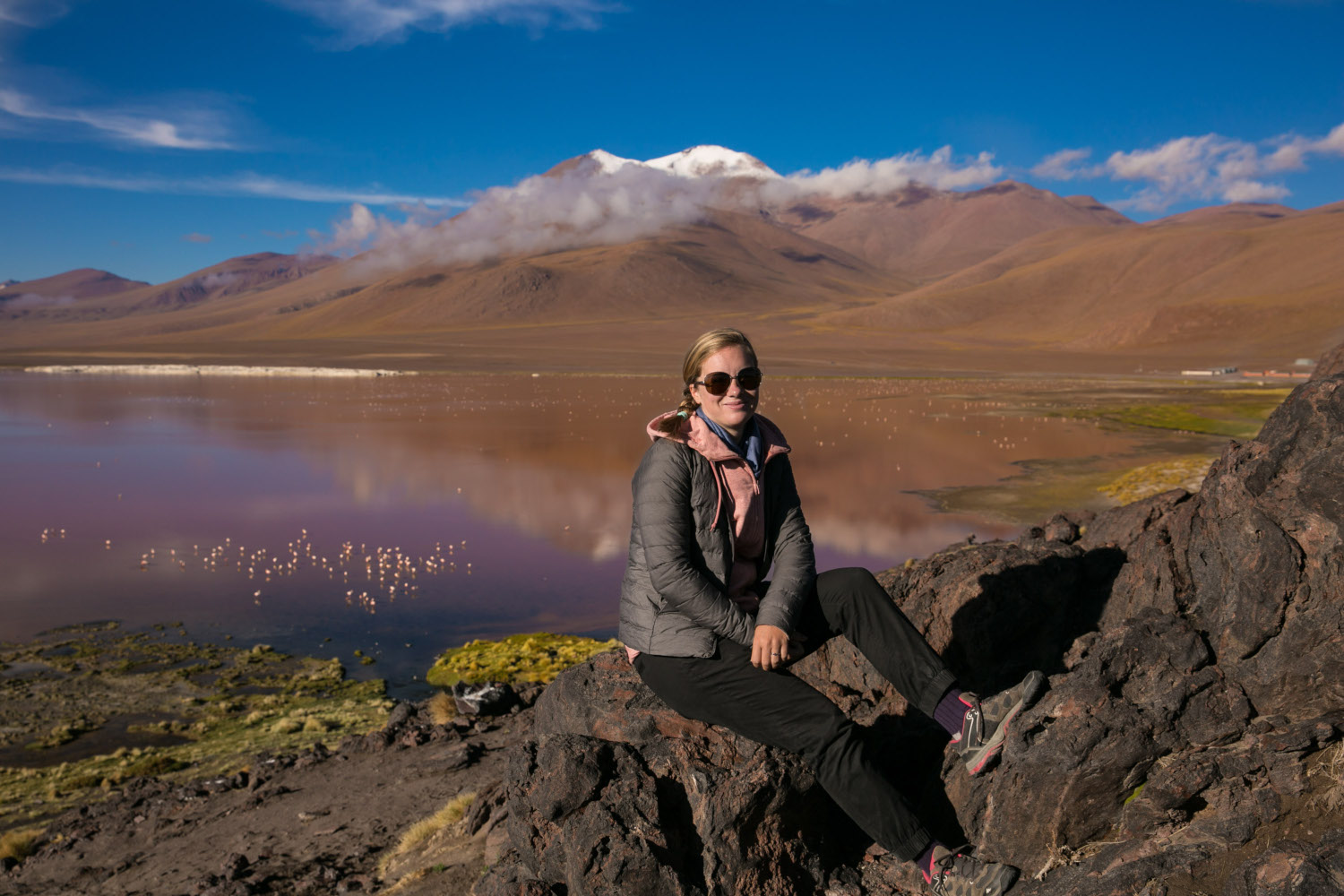 Laguna con flamencos