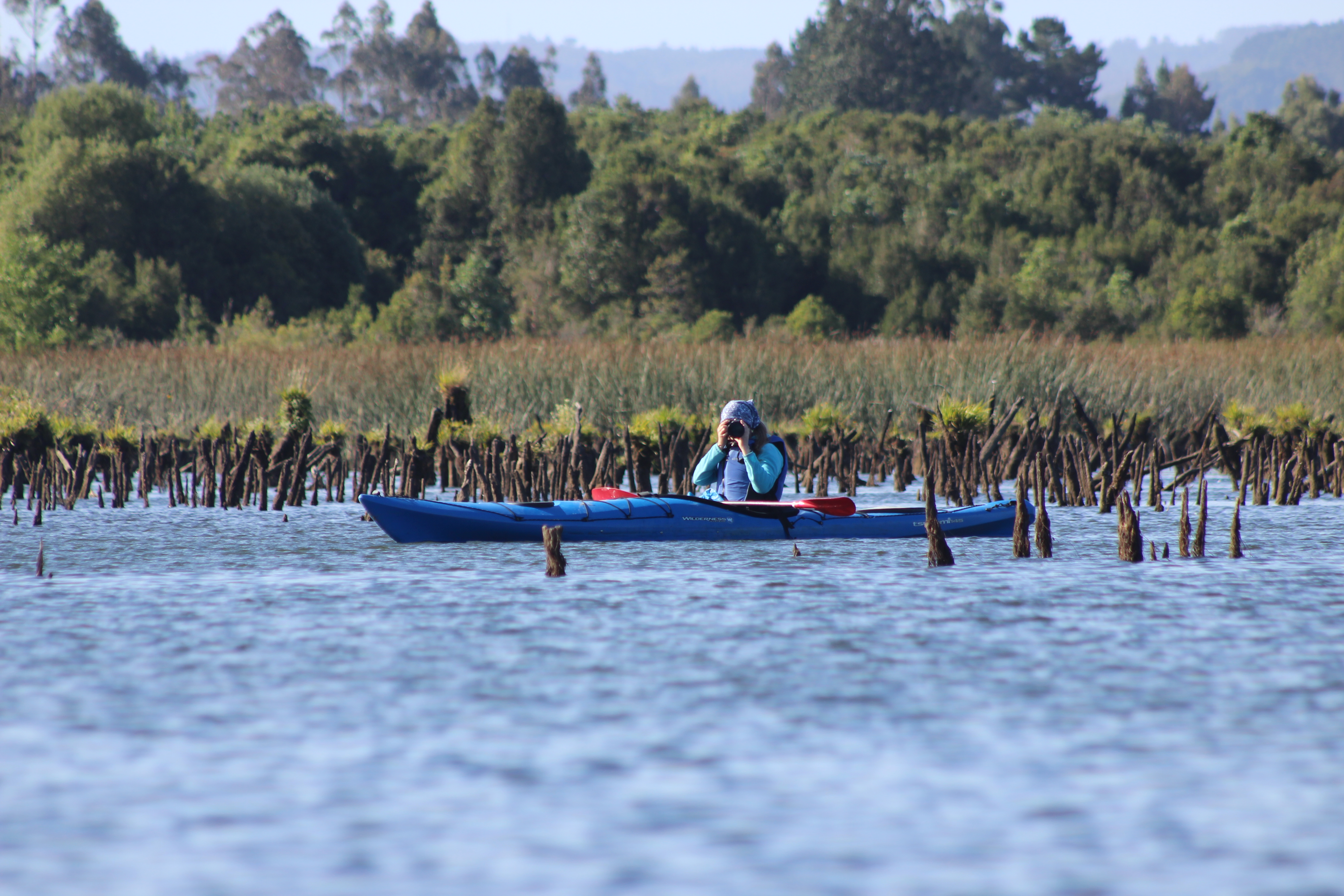 Persona en kayak en el humedal