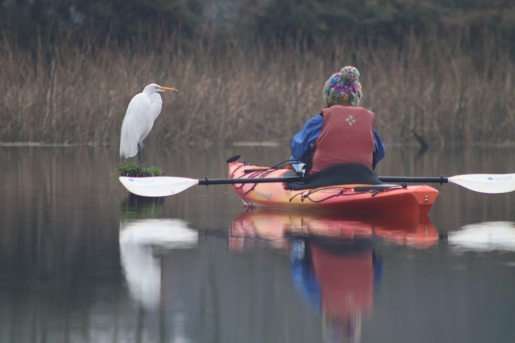 Persona en kayak y ave en humedal