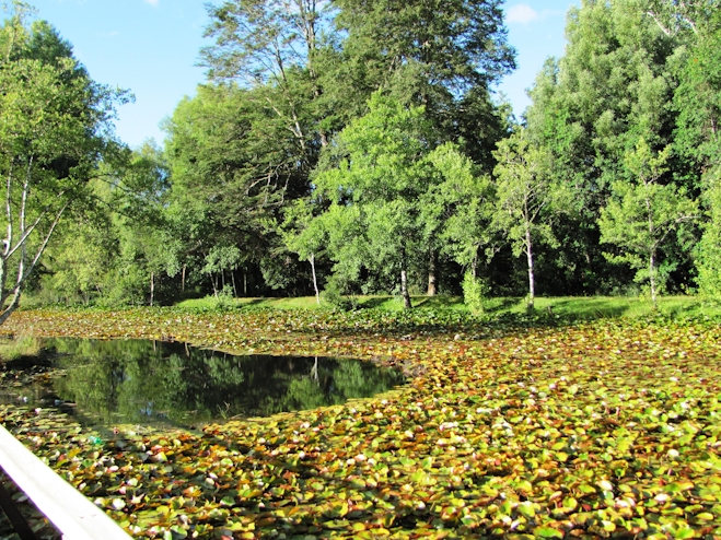 Jardín Botánico