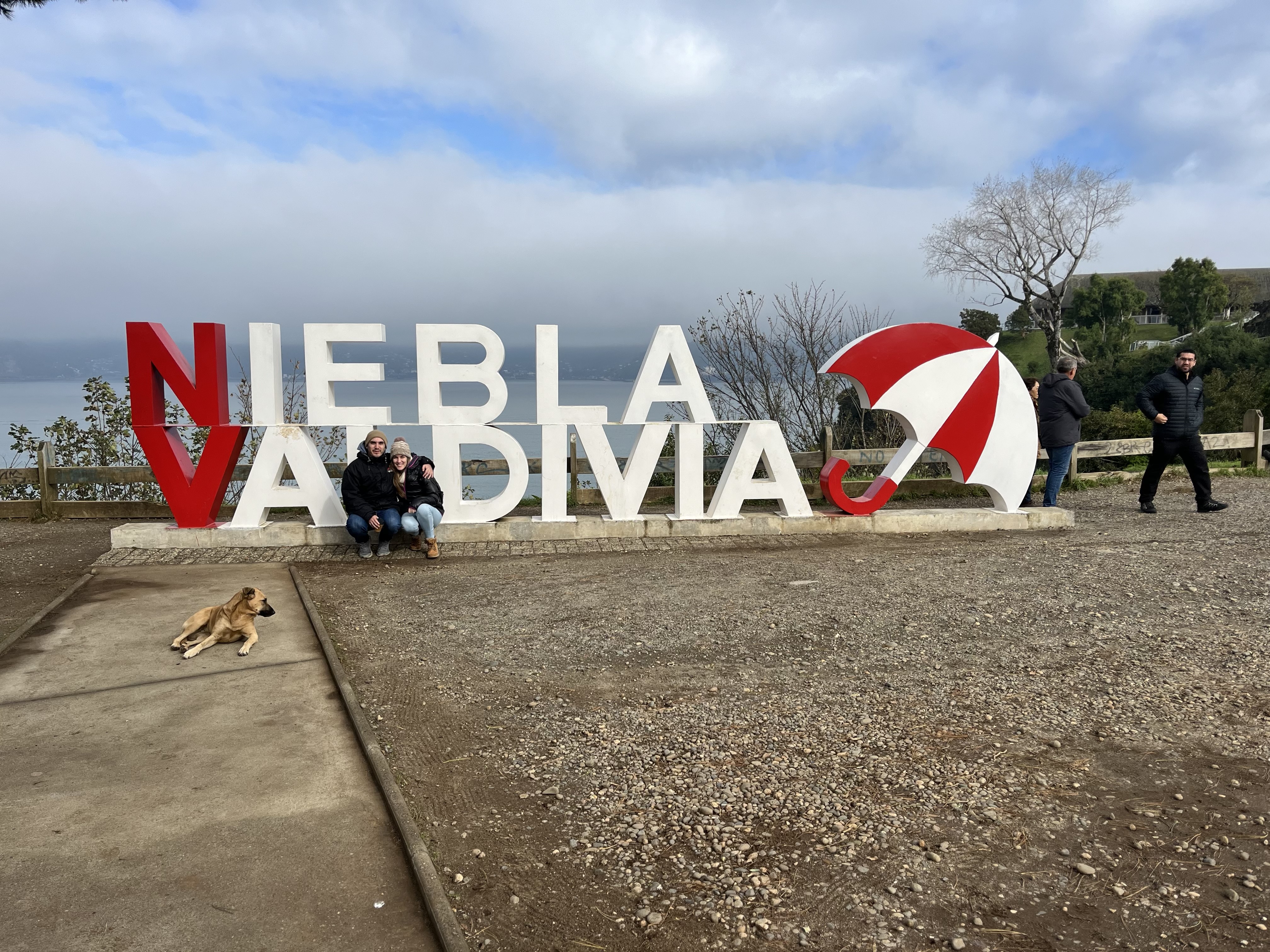 Letras Niebla