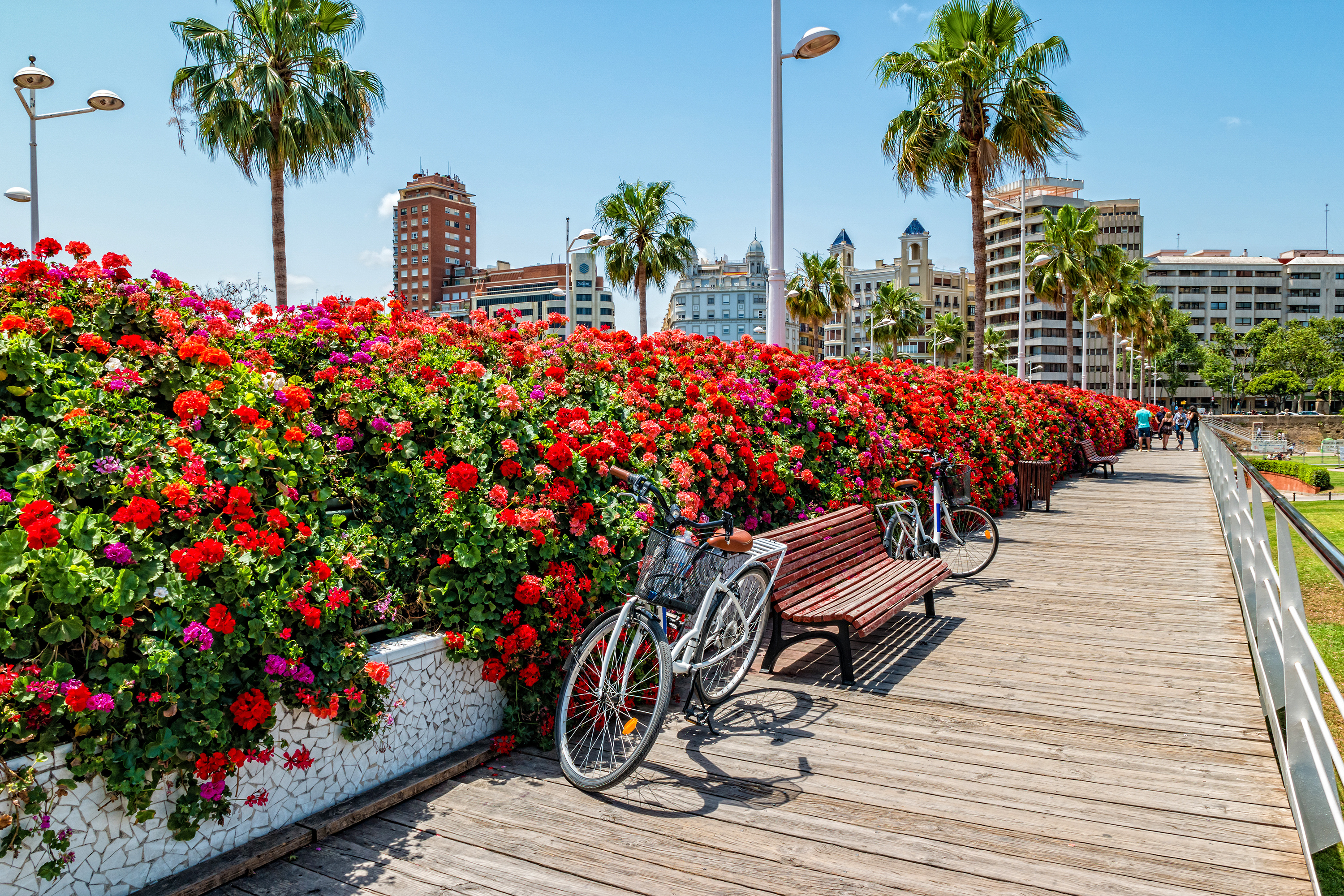 Bicicletas en Valencia