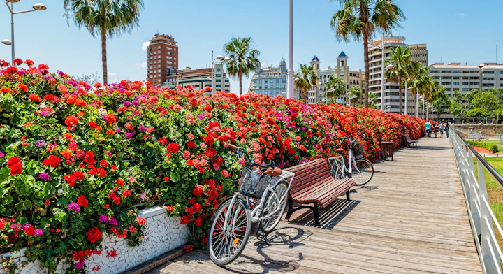 Bicicletas en Valencia
